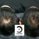 수원-2060 이미지