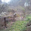 뽀미농장 이미지