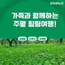 팔음로 | 가족과 함께하는 주말 힐링여행! 삼둥이농장 농촌체험 리얼후기