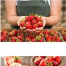 장등농장 이미지