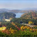 청남대 진입로 이미지