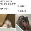 텐퍼센트커피 신주례백양점 | 8/13 - 8/16