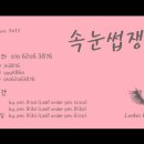속눈썹쟁이