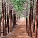 갈모봉산림욕장 이미지