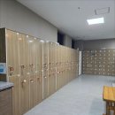 아일랜드 장평점 네이버블로그