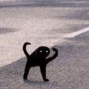 인성 이미지