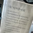 NR-7[동해대로]-하-402 | [경북 울진] 영덕/울진 오션뷰가 이쁜 •프렌치페이퍼 풀빌라•