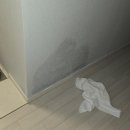 중앙탑면행정복지센터화장실 | 충주 대소원면 아파트 누수 “9층, 8층까지 물 샜어요…” 원인 해결 + 보험처리 후기