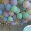 마고플레인 이미지