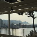 미란농장 | 태안 카페 아무도 모르는 이곳! 만리포 해수욕장 근처 바다뷰 브런치 맛집 몰로