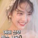 두두스칼프