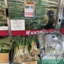 배추, 무 김장 재료 가격 @빅싸게마트