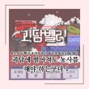 [스타듀밸리/리뷰] 괴담에 떨어져도 농사를 해야 하는구나 1 | 괴담출근 모드 추천 | 스포주의