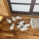 스테이 꿈의대화 이미지