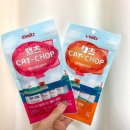 캣챱 | [고양이 간식] 웰츠 캣챱 구매후기(솔직쓰..)
