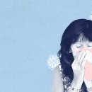 음봉초등학교 이미지