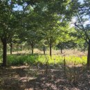 화남농장 이미지