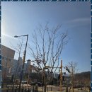 오포더샵선한공인중개사사무소 이미지