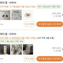 네오밸리(주) | 11월 일상
