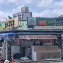 우성반점 이미지