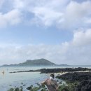 제주라파의원 이미지