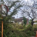 안우선 | 파크골프채 가격포함 만족도가 높은 이유