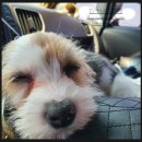 GS25 하이비젼 이미지