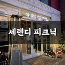 세렌디피크닉 | 용산 청모 장소 추천 세렌디피크닉 내돈내산 후기