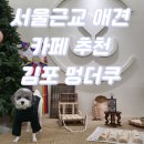 [김포 애견카페] 서울 근교 애견카페 김포 운양동 멍더쿠 완전 추천!!