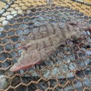 인쌩맥주 다대포점 이미지