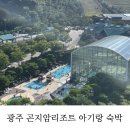 곤지암읍 만선리 360-1 | 광주 곤지암리조트 로얄룸 내돈내산 아기랑 숙박후기