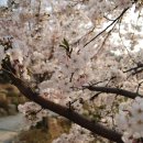 상천낚시터 이미지