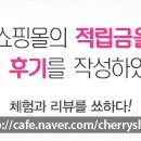 스킨하우스플러스