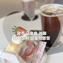 진흥더루벤스경로당 | 광주 금호동 느좋카페 카페눈치 내돈내산 디저트추천