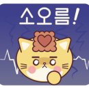 더다옴