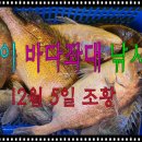 스카이좌대낚시터 이미지