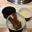 1159 | 조잔케이 추천, 가성비갑 하타코야 조잔케이 쇼텐 트레디셔널룸 내돈내산 후기 / 무료 송영버스 예약