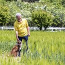 청보리목장 이미지