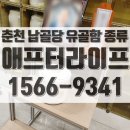시립화장장(춘천시 안식원) | 춘천 납골당 안식의집, 유골함 선택하는 방법