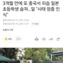 또 중국서 피습 일본 초등학생 숨져… 이미지