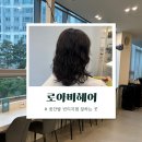 우진빌딩 앞 | [ 사직동 미용실 ] “ 로아비헤어 ” 중단발펌 빈티지펌 잘하는 곳 미용실 추천 거지존 탈출!