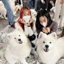 종로-연건-종로-연-521 | 연초부터 다사다난했던 INFP 일상(2022년 1분기 기록)