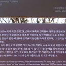 우회도로삼거리(좌) | 대구 앞산 산행 ( 골안골 에서 안지랑골 )