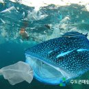 에코레저 이미지