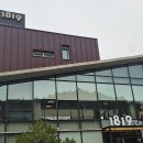 일팔일구