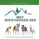 한국시바견클럽 이미지