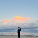 세븐일레븐 대구다온점 | [대구근교캠핑]경주애견동반 캠핑갓다왓어용