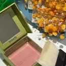 단델리온 이미지