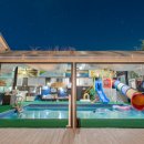 아그리나 B 이미지