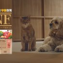 주식회사 금상
